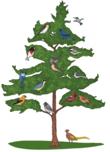 Consider a seasonal gift to the Plymouth Memory Tree to help fellow townies.